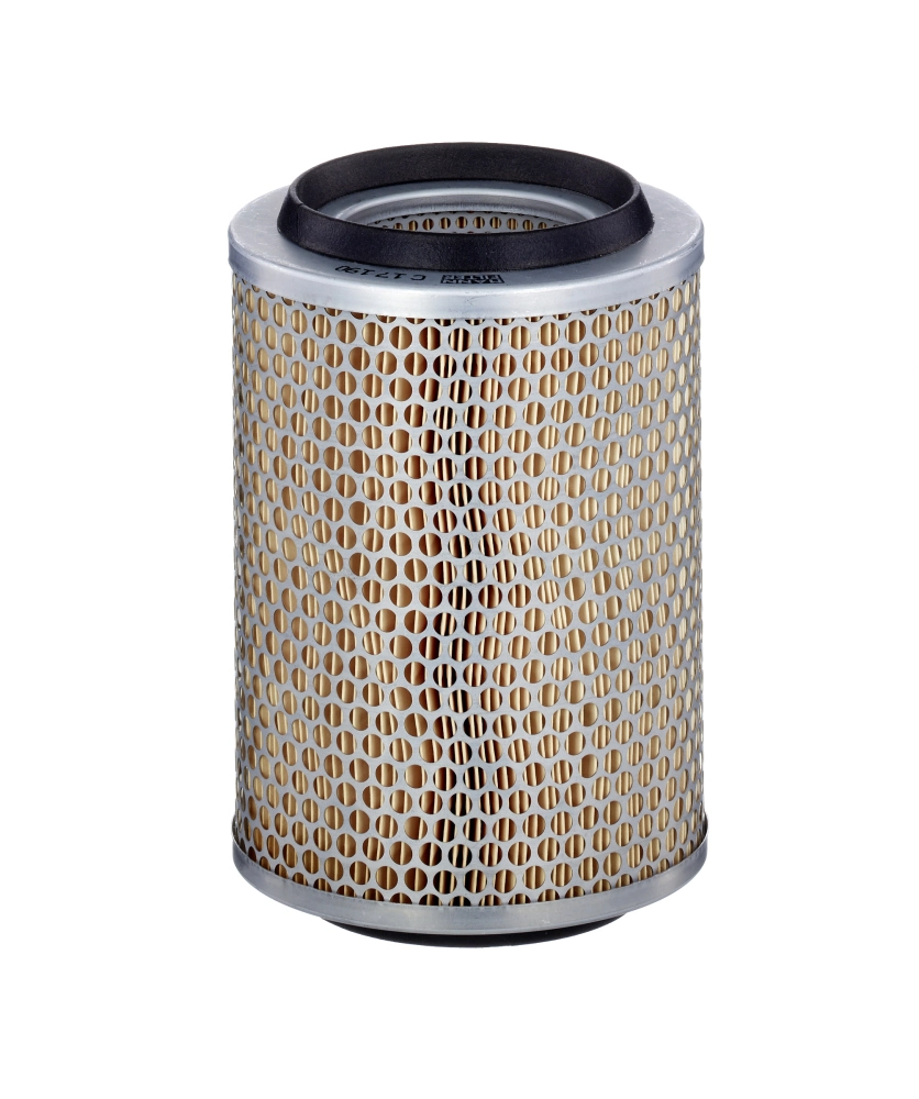 MANN FILTER C17190