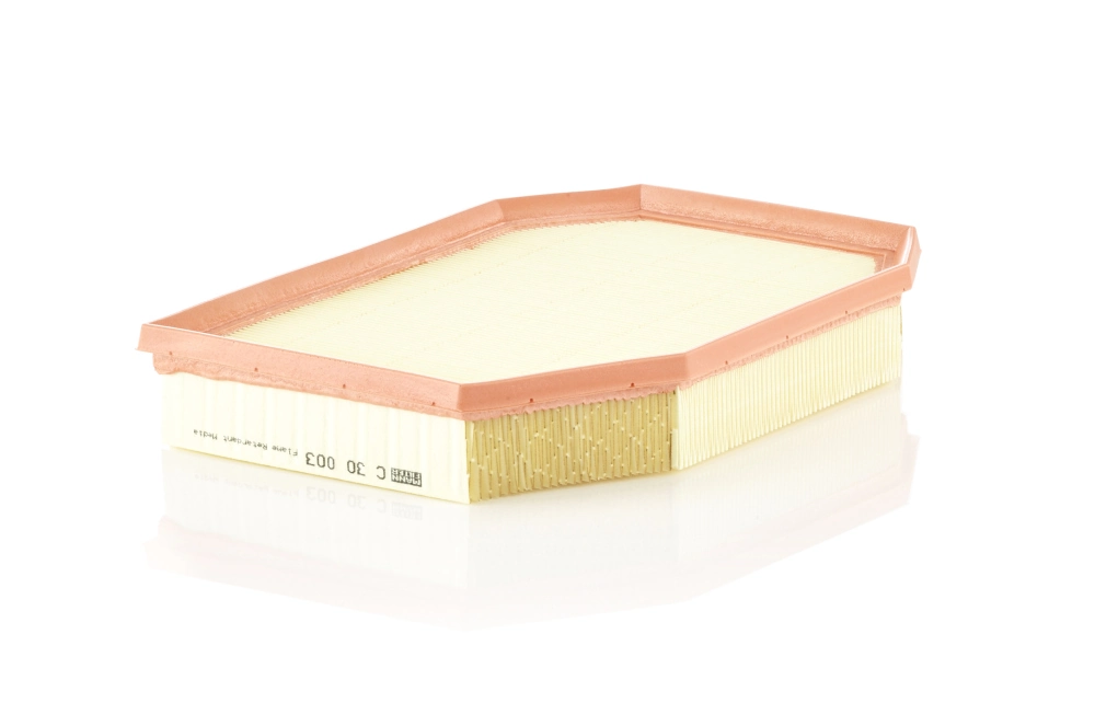 MANN FILTER C30003