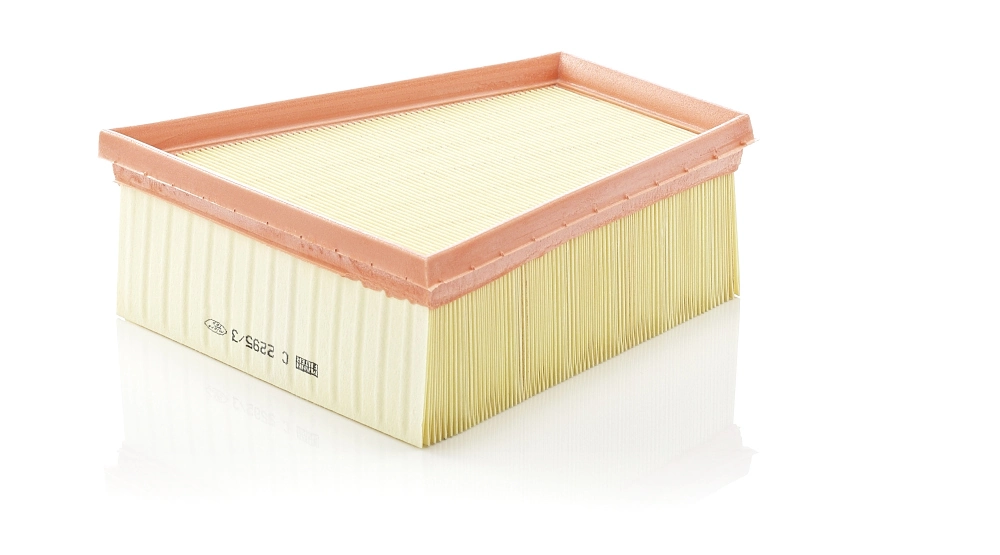 MANN FILTER C22953
