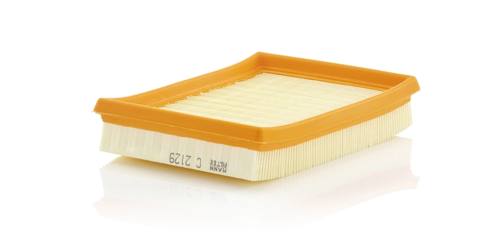 MANN FILTER C2129