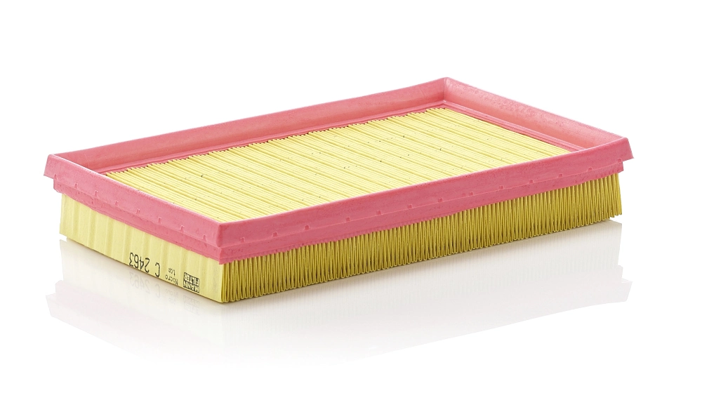 MANN FILTER C2463