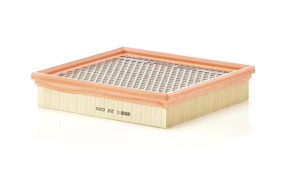 MANN FILTER C22029