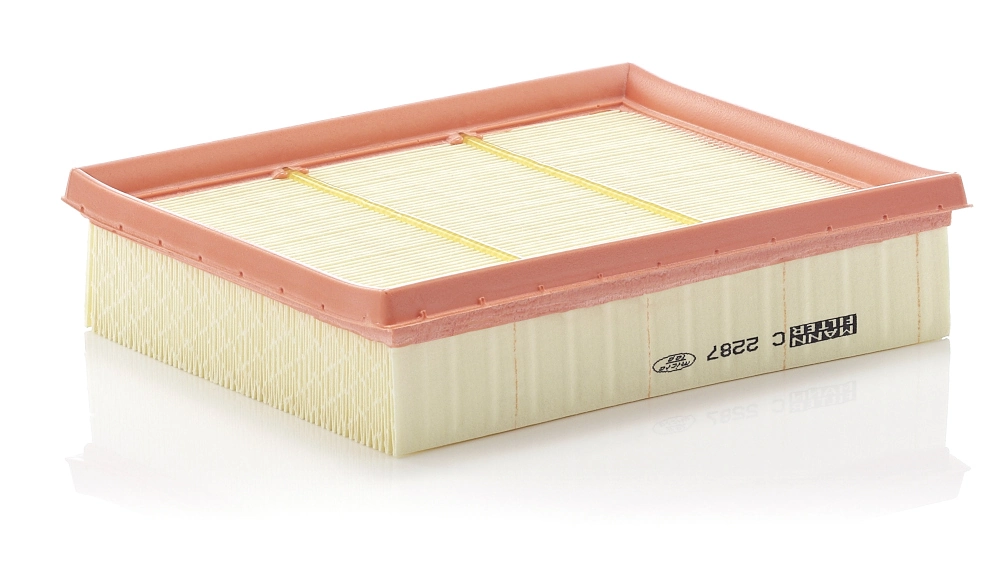 MANN FILTER C2287
