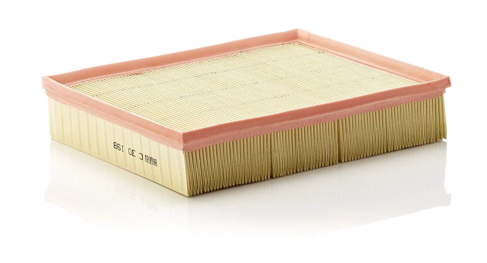 MANN FILTER C30198