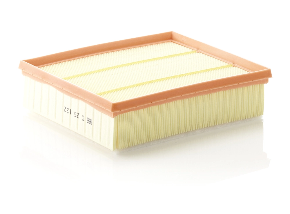 MANN FILTER C25122