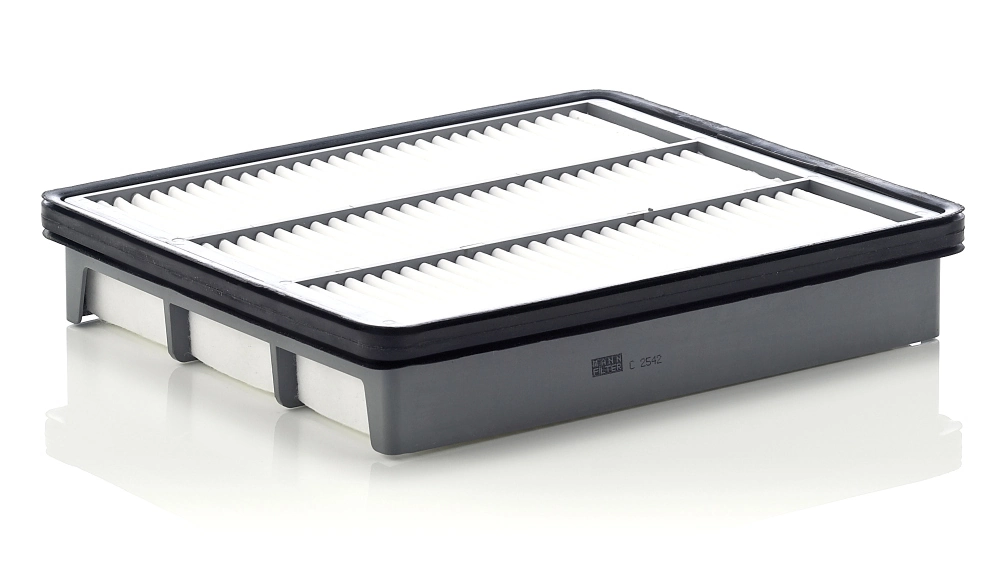MANN FILTER C2542