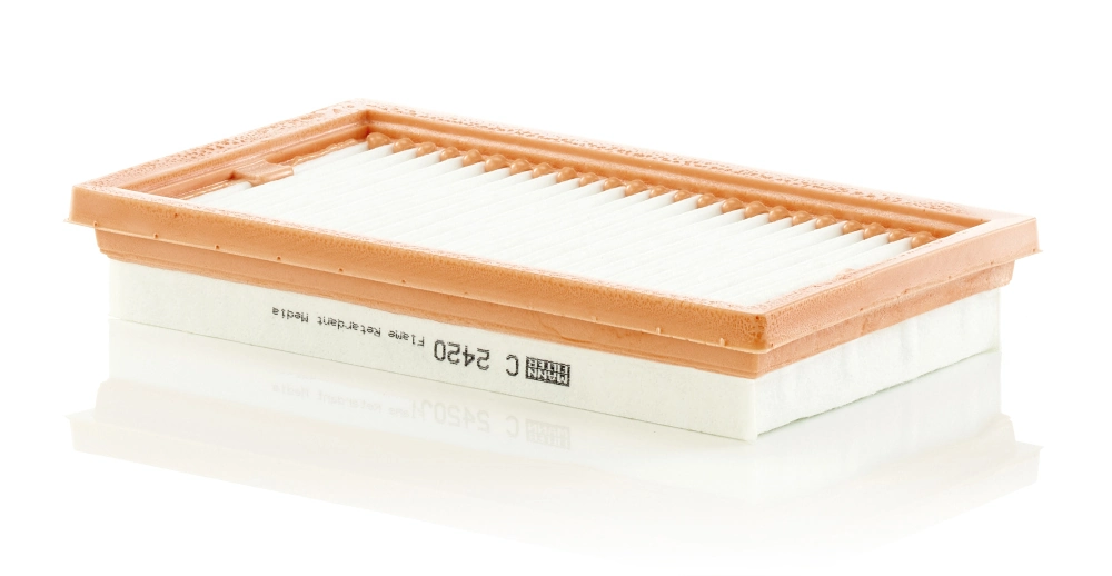 MANN FILTER C2420
