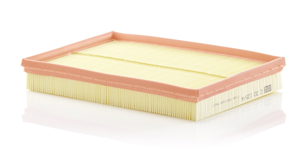 MANN FILTER C301254