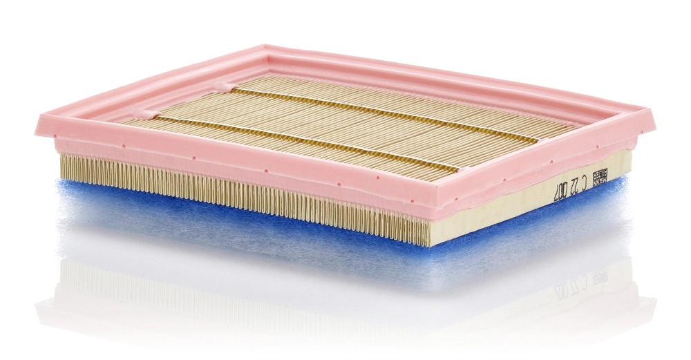 MANN FILTER C22007