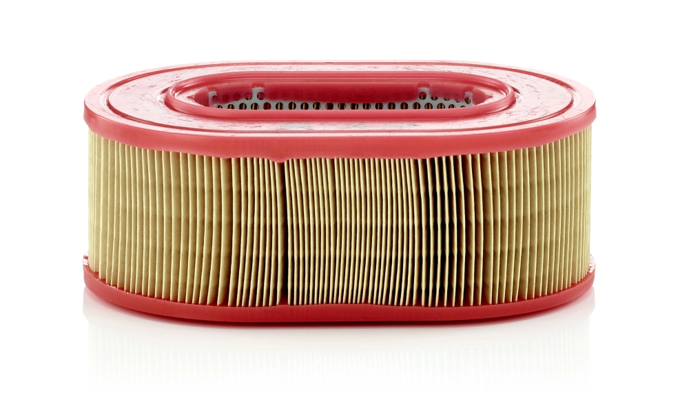 MANN FILTER C25124