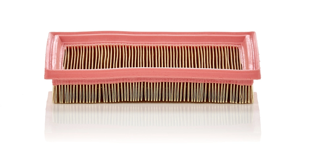 MANN FILTER C2244