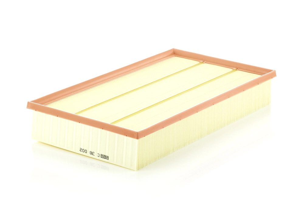 MANN FILTER C38002