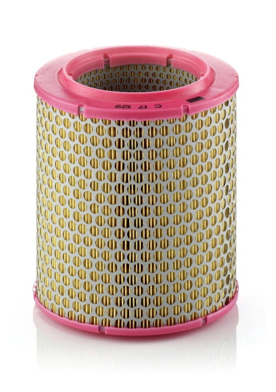 MANN FILTER C17129
