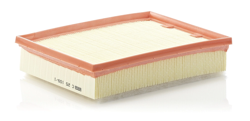MANN FILTER C251091