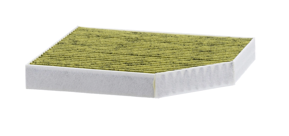 MANN FILTER FP2450
