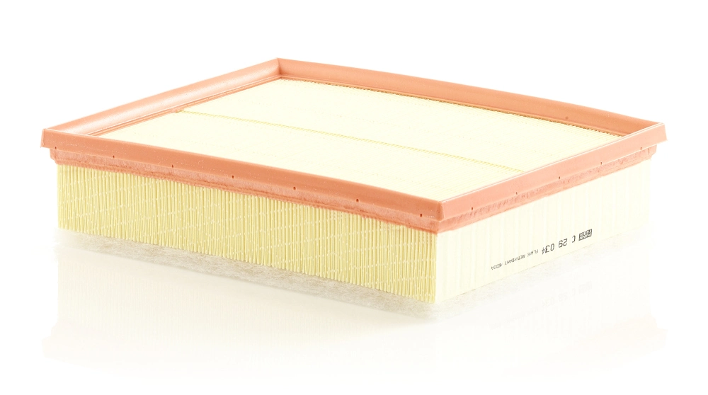 MANN FILTER C29034