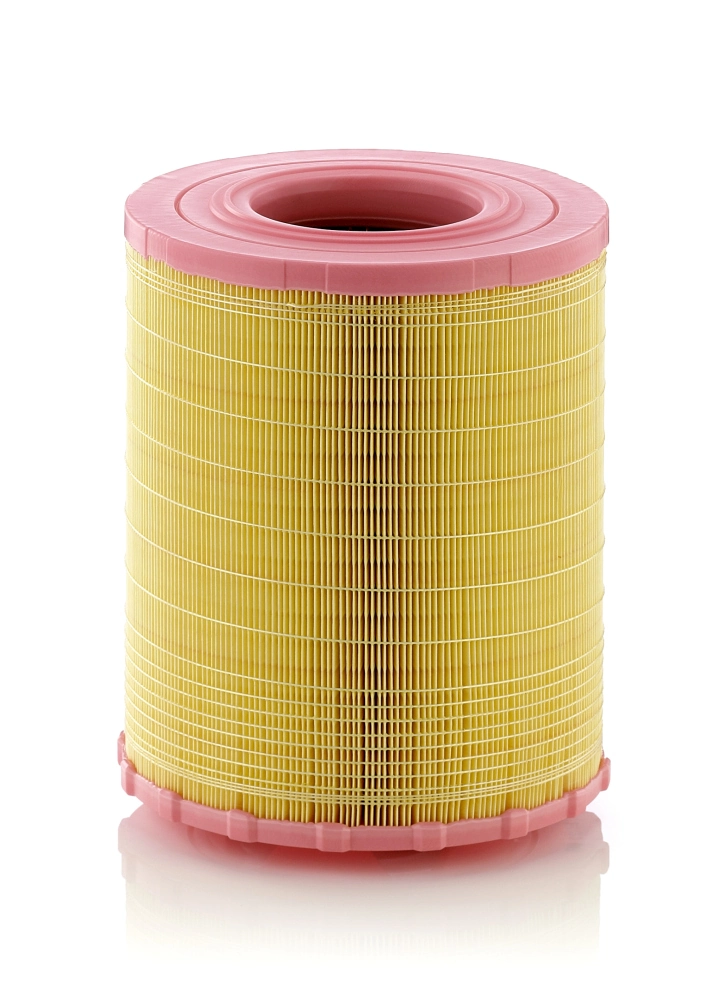 MANN FILTER C29010