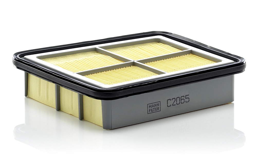 MANN FILTER C2065