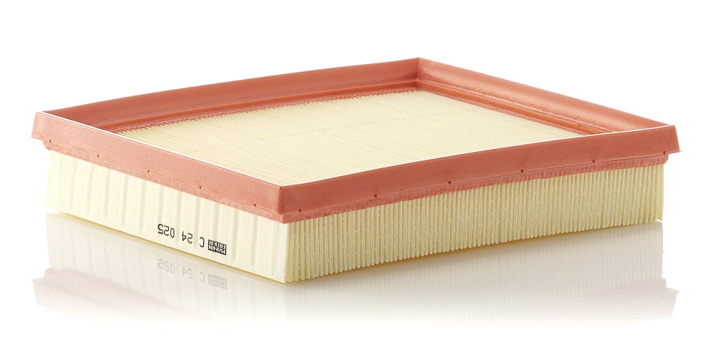 MANN FILTER C24025
