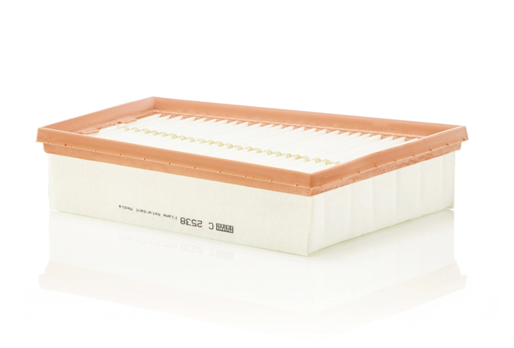 MANN FILTER C2538