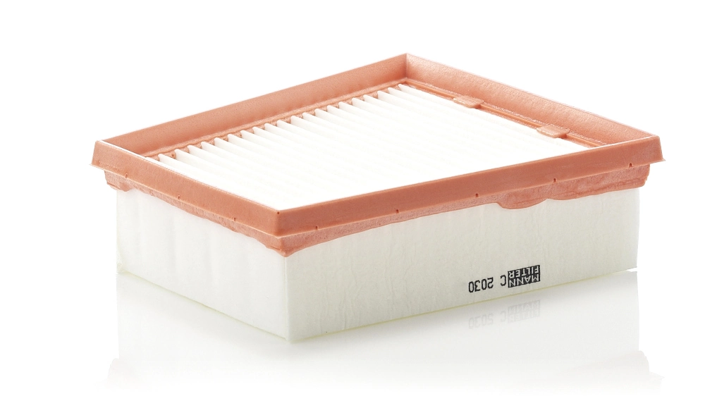 MANN FILTER C2030