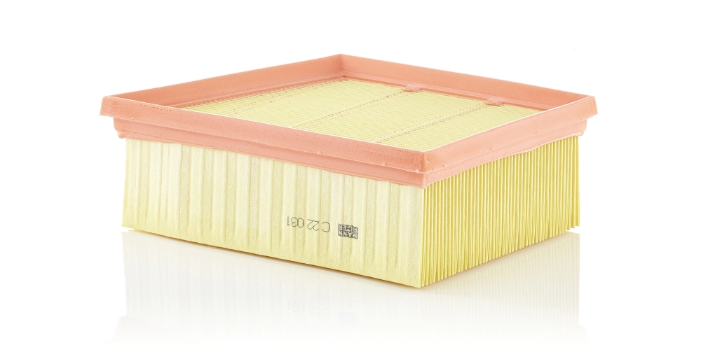 MANN FILTER C22031