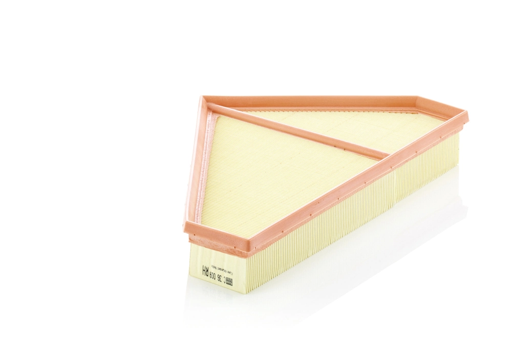 MANN FILTER C36009