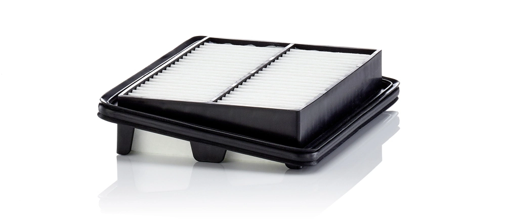 MANN FILTER C22060