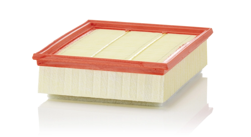 MANN FILTER C25018