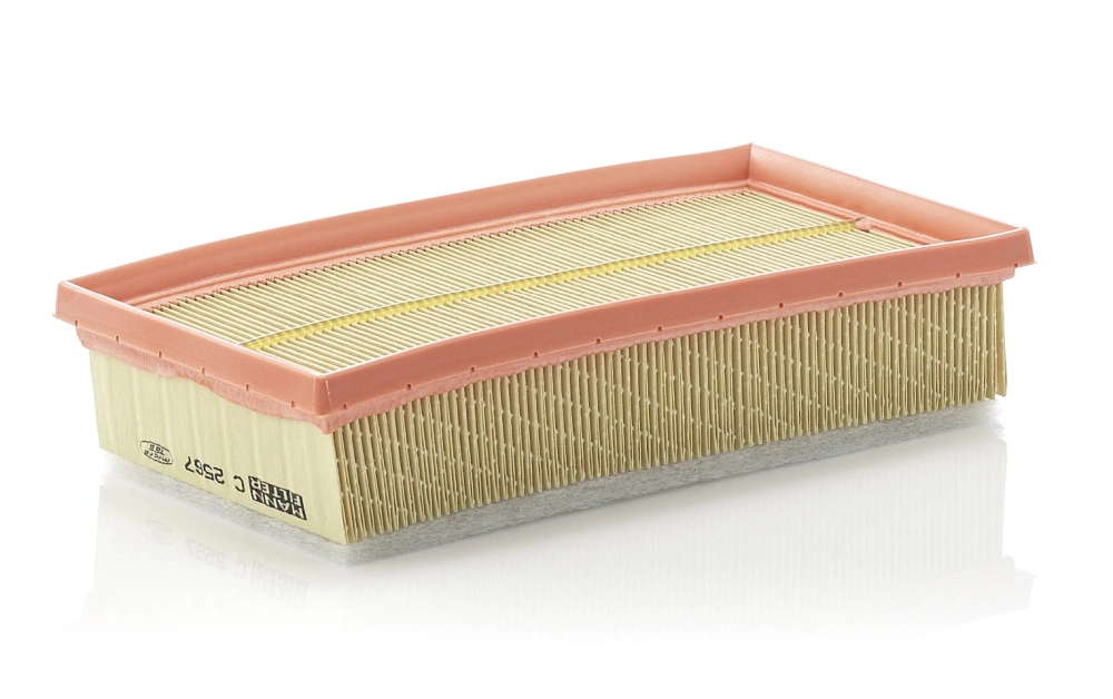 MANN FILTER C2567