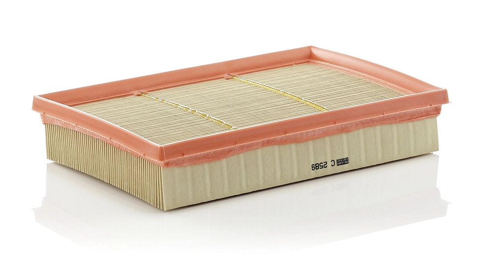 MANN FILTER C2589