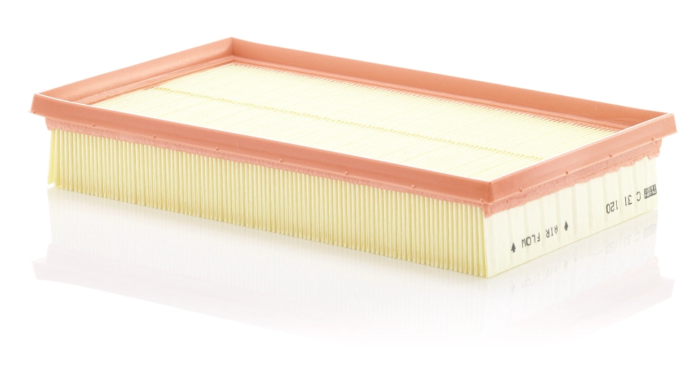 MANN FILTER C31120