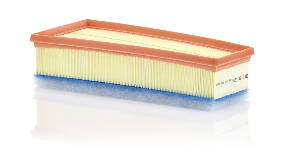 MANN FILTER C30025