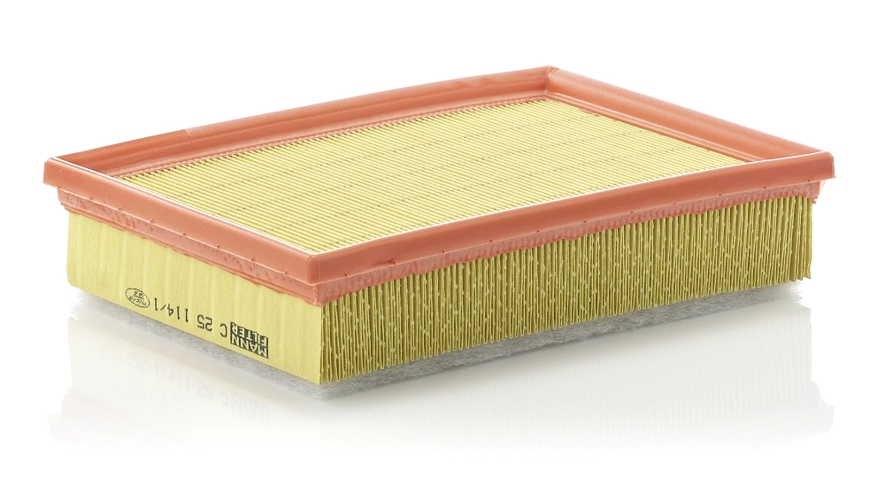 MANN FILTER C251141