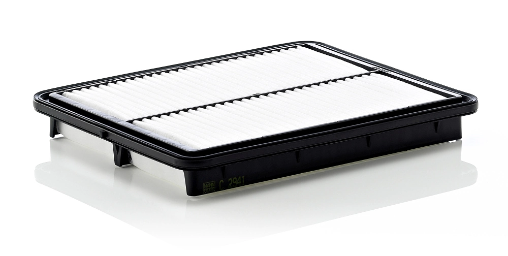MANN FILTER C2941