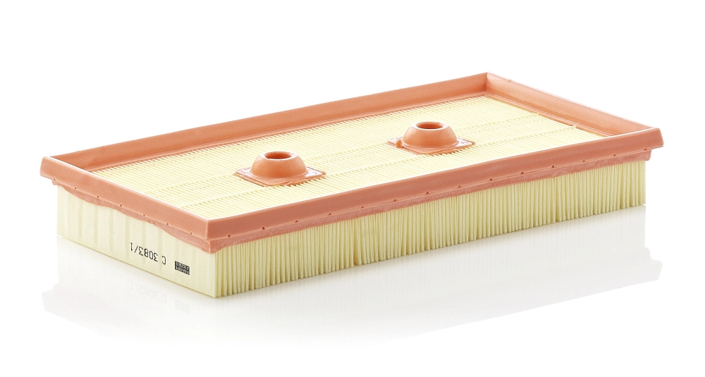 MANN FILTER C30831