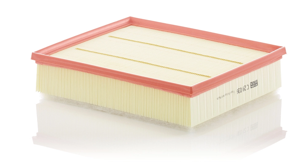 MANN FILTER C29036