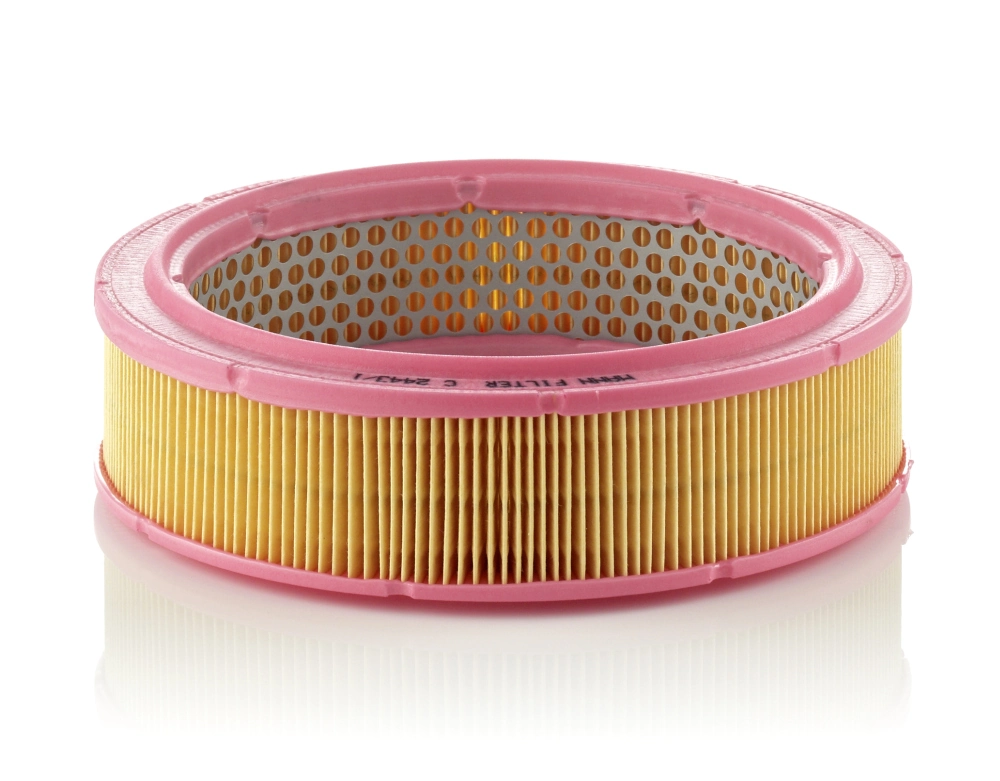 MANN FILTER C24431