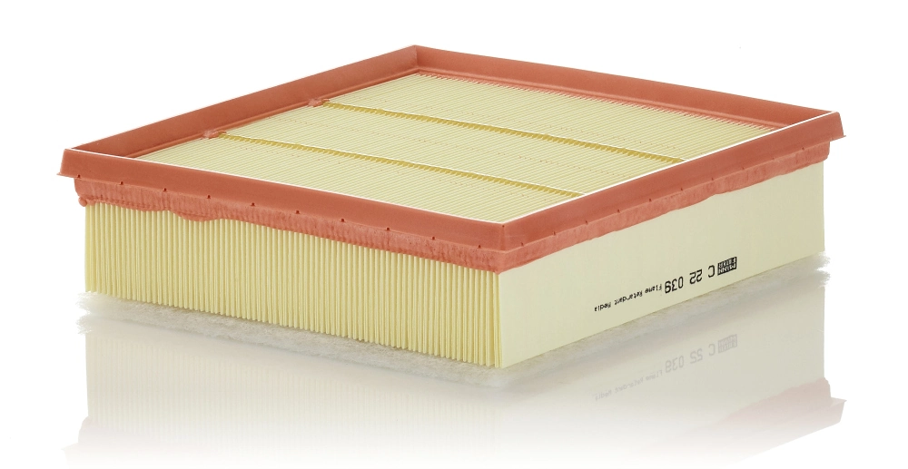 MANN FILTER C22039