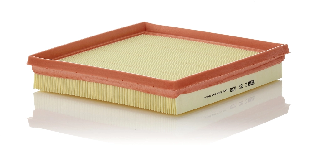 MANN FILTER C22038