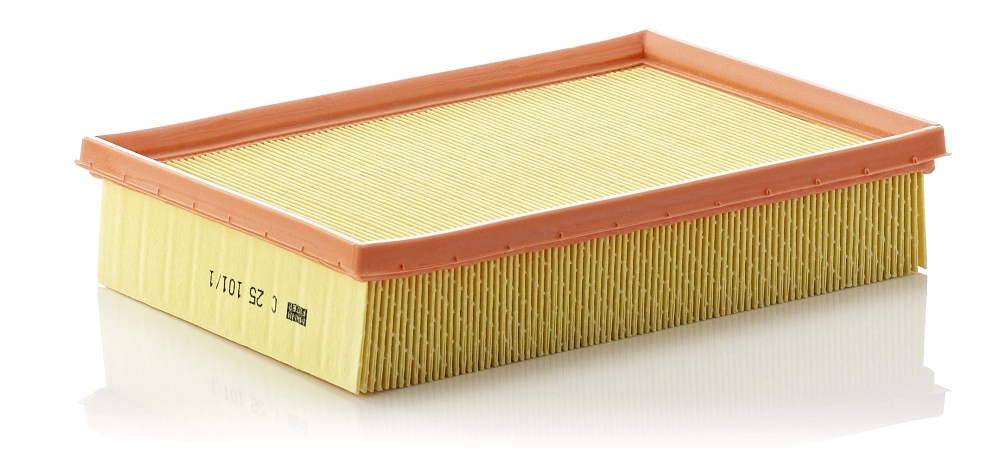 MANN FILTER C251011