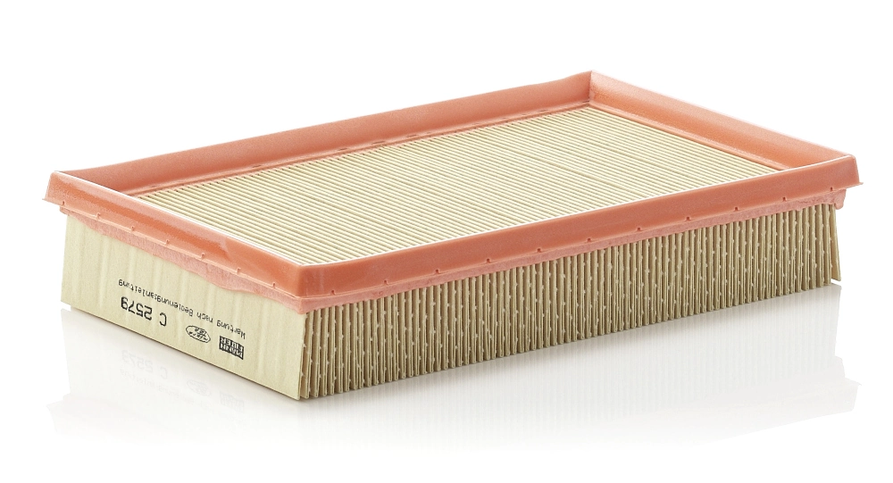 MANN FILTER C2579