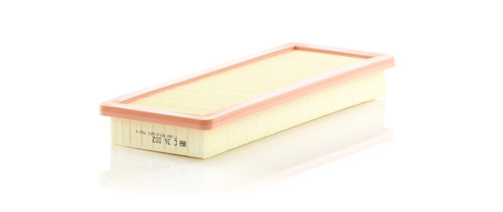 MANN FILTER C36002