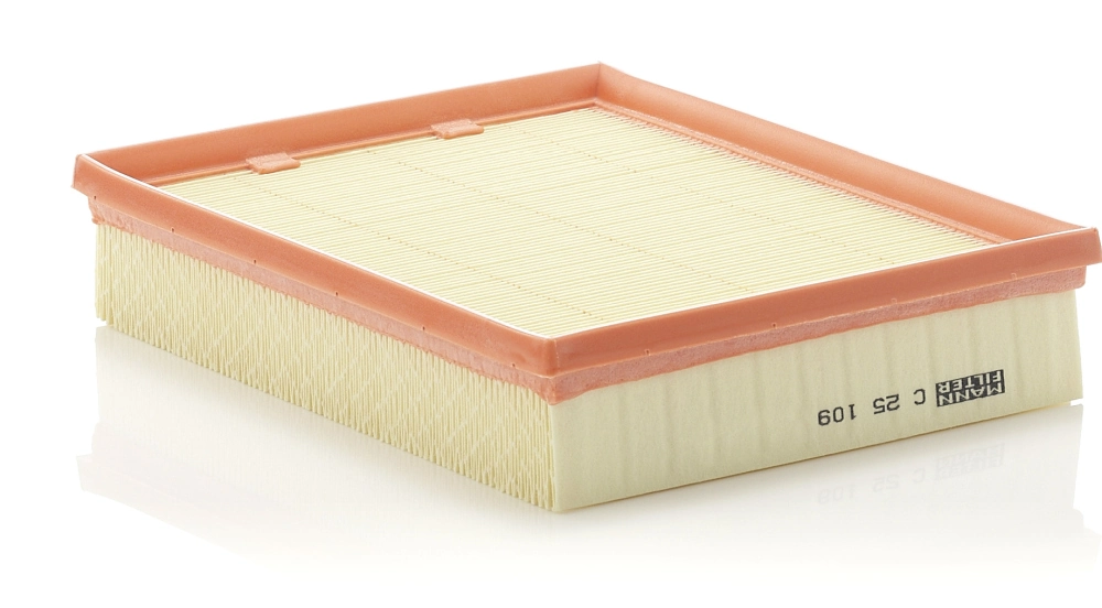 MANN FILTER C25109