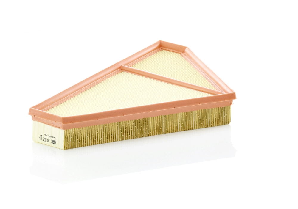 MANN FILTER C36008