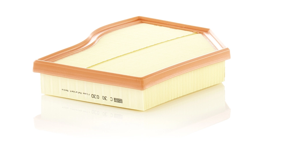 MANN FILTER C30030