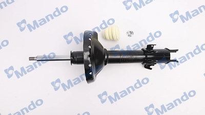 RAISO RS312895