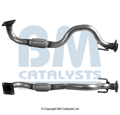 BM CATALYSTS BM70455