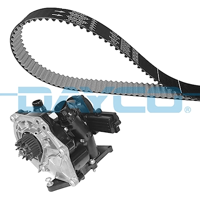 DAYCO KTBWP12100
