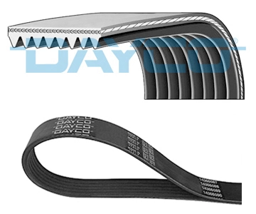 DAYCO 8PK1300HD